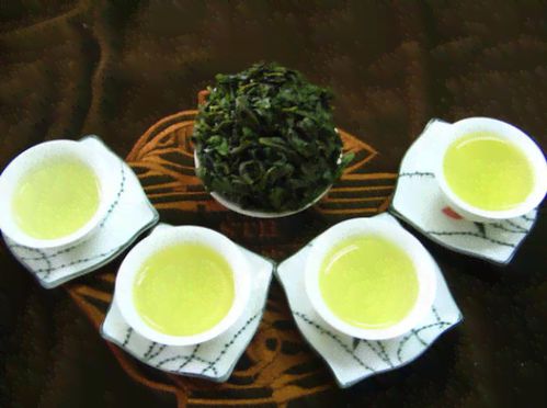 普洱茶泡菩提根 热茶好还是凉茶好？专家深度解析